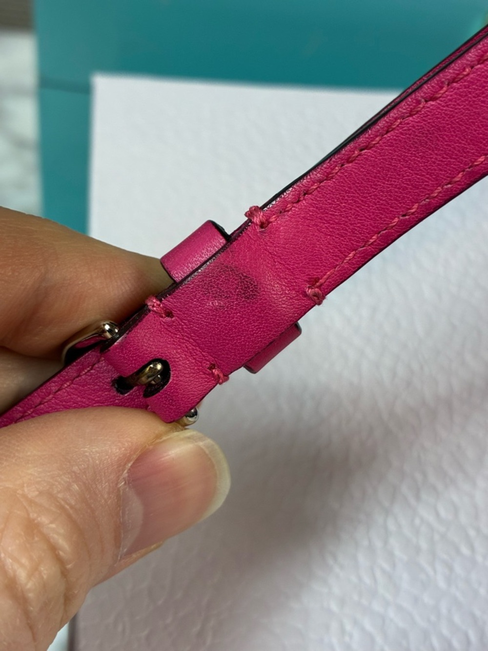 Dior Pink & Blue Leather Diorissimo Promenade Crossbody - Beautiful Pre-Loved - Picture 16 of 16